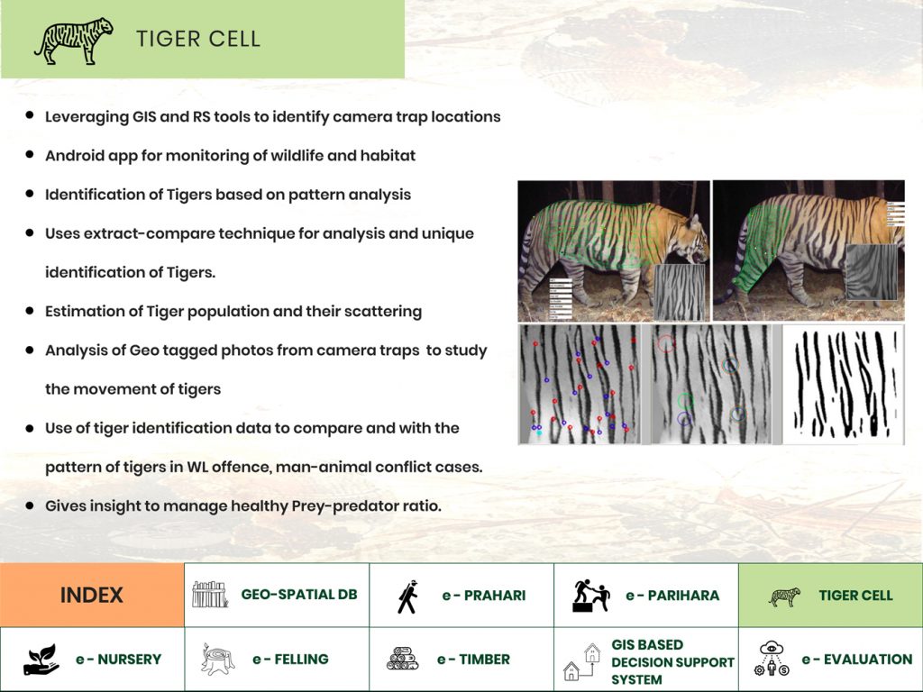 bangalore-tech-summit-tiger-cell-slide