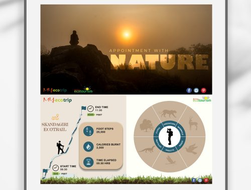 my-eco-trip-nature-poster-mockup